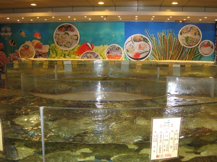 16 live fish tanks
